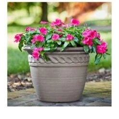 New โ 16" Cortina Self-Watering Planter - Gardener's Supply Company ๐ฅฐ 6 New โ 16" Cortina Self-Watering Planter - Gardener's Supply Company ๐ฅฐ -Planters Sales Store unnamed file 4758