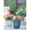 Cheap 🥰 16" Cortina Self-Watering Planter - Gardener's Supply Company 🔥