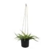 Best Sale 😉 Sagebrook Home 6" Vector Ceramic Hanging Planter Mint 💯 -Planters Sales Store unnamed file 4781