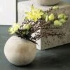 Best reviews of ๐ฅฐ Sullivans Ball Planter ๐ 1 Best reviews of ๐ฅฐ Sullivans Ball Planter ๐ -Planters Sales Store unnamed file 4792