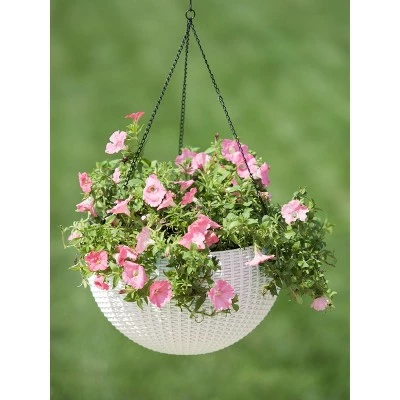 Hot Sale 🌟 Weave Self-Watering Hanging Basket, 14 Inch - Gardener's Supply Company 👍 4 Hot Sale 🌟 Weave Self-Watering Hanging Basket, 14 Inch - Gardener's Supply Company 👍 - Image 2