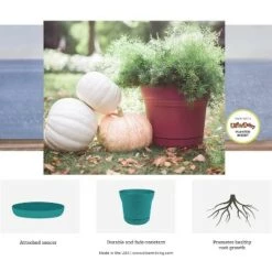 Hot Sale βοΈ Bloem SP1000 Saturn Indoor Outdoor 10" Matte Finish Durable Plastic Planter Pot with Attached Saucer and Pre Drilled Drainage Holes, Black (2 Pack) π 8 Hot Sale βοΈ Bloem SP1000 Saturn Indoor Outdoor 10" Matte Finish Durable Plastic Planter Pot with Attached Saucer and Pre Drilled Drainage Holes, Black (2 Pack) π -Planters Sales Store unnamed file 4817