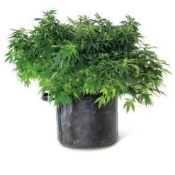 Brand new ๐ Gardener's Best Universal Grow Bag - Gardener's Supply Company ๐