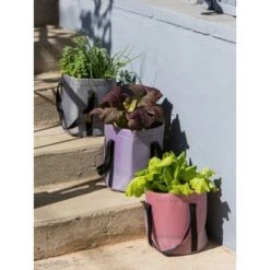 Best reviews of ⭐ Reinforced Colorful Grow Bag, 9" x 9" - Gardener's Supply Company ❤️