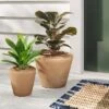 Buy ✨ Threshold Designed W/Studio McGee Indoor/Outdoor Earthenware Weathered Planter Tan - Threshold™ designed with Studio McGee ⭐