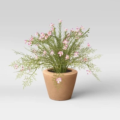 Buy ✨ Threshold Designed W/Studio McGee Indoor/Outdoor Earthenware Weathered Planter Tan - Threshold™ designed with Studio McGee ⭐ 4 Buy ✨ Threshold Designed W/Studio McGee Indoor/Outdoor Earthenware Weathered Planter Tan - Threshold™ designed with Studio McGee ⭐ - Image 2