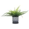 New 🧨 Sagebrook Home Fan Cement Planter with Saucer Gray 🛒