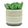 Deals 🥰 Set of 2 5.75" Ceramic Planters with Saucer Olive - Sagebrook Home ⭐ -Planters Sales Store unnamed file 4919
