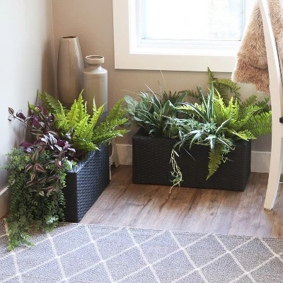 Best deal ๐ Sunnydaze Decor Sunnydaze 2-Section Rectangle Polyrattan Indoor Planters - 21.5" W x 11.5" D x 9.25" H - Black - 2-Pack ๐ 2 Best deal ๐ Sunnydaze Decor Sunnydaze 2-Section Rectangle Polyrattan Indoor Planters - 21.5" W x 11.5" D x 9.25" H - Black - 2-Pack ๐