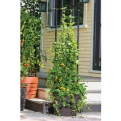 Best Pirce 🌟 Gardener's Victory Self-Watering Planter Garden with Vine Trellis - Brown - Gardener's Supply Company 🎉