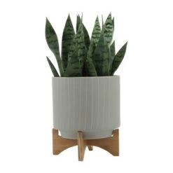 Budget 🛒 Set of 2 12" Ceramic Stripes Planter with Stand Tan - Sagebrook Home 👏 15 Budget 🛒 Set of 2 12" Ceramic Stripes Planter with Stand Tan - Sagebrook Home 👏 -Planters Sales Store unnamed file 5128