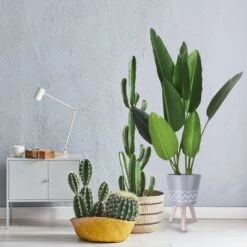 Promo ✨ Rosemead Home & Garden, Inc. 17.4" Lightweight Cement Classic Outdoor/Indoor Planter with Wooden Legs Light Gray - Rosemead Home & Garden, Inc. 😍 6 Promo ✨ Rosemead Home & Garden, Inc. 17.4" Lightweight Cement Classic Outdoor/Indoor Planter with Wooden Legs Light Gray - Rosemead Home & Garden, Inc. 😍 -Planters Sales Store unnamed file 5165