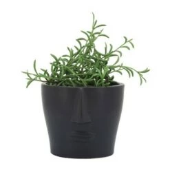 Top 10 🔔 Sagebrook Home 6" Face Ceramic Planter Black 🎉 -Planters Sales Store unnamed file 5208