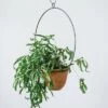 Brand new ❤️ 16" x 7" Hanging Terracotta Planters with Metal Hangers - 3R Studios ❤️
