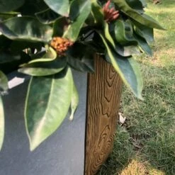 Discount ❤️ Rosemead Home & Garden, Inc. 15" Kante Lightweight Modern Outdoor Concrete Rectangular Planter Timber Ridge Gray - Rosemead Home & Garden, Inc. 🥰 -Planters Sales Store unnamed file 5247