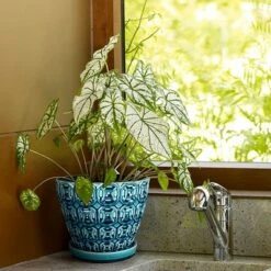 Wholesale ๐ Southern Patio 12 Inch Ceramic Clay Mayer Flower Planter & Saucer Tray, Seafoam โ๏ธ 7 Wholesale ๐ Southern Patio 12 Inch Ceramic Clay Mayer Flower Planter & Saucer Tray, Seafoam โ๏ธ -Planters Sales Store unnamed file 5278