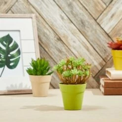 Hot Sale 🎁 Juvale 24 Pack Plastic Small Flower Pots Planters for Indoor Outdoor Plant, Succulent, 4 Colors 1.5 x 1.5 x 2.3" 🌟