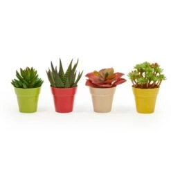 Hot Sale 🎁 Juvale 24 Pack Plastic Small Flower Pots Planters for Indoor Outdoor Plant, Succulent, 4 Colors 1.5 x 1.5 x 2.3" 🌟 -Planters Sales Store unnamed file 5296
