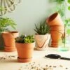 Best reviews of 😀 Juvale 6 Pack Terra Cotta Clay Pots with Saucer, Small Plant Pots, Planters for Succulents, 4 x 4 x 4.2 In 🥰