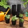 Brand new ๐ Juvale 150 Pack Small Plastic Flower Pots for Plants, Seedlings, 2.6 x 2.6 x 2.6 In โ๏ธ 1 Brand new ๐ Juvale 150 Pack Small Plastic Flower Pots for Plants, Seedlings, 2.6 x 2.6 x 2.6 In โ๏ธ -Planters Sales Store unnamed file 5342
