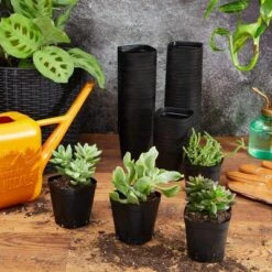 Brand new 🌟 Juvale 150 Pack Small Plastic Flower Pots for Plants, Seedlings, 2.6 x 2.6 x 2.6 In ✔️