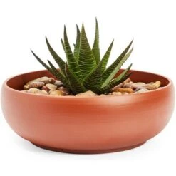 Best reviews of ๐ Juvale Ceramic Bowl Planter Pots with Drainage Hole for Indoors & Outdoors, Brown, 8" x 2.6" โญ 11 Best reviews of ๐ Juvale Ceramic Bowl Planter Pots with Drainage Hole for Indoors & Outdoors, Brown, 8" x 2.6" โญ -Planters Sales Store unnamed file 5361
