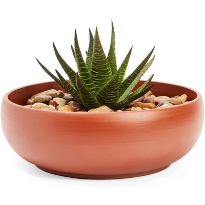 Best reviews of ๐ Juvale Ceramic Bowl Planter Pots with Drainage Hole for Indoors & Outdoors, Brown, 8" x 2.6" โญ 6 Best reviews of ๐ Juvale Ceramic Bowl Planter Pots with Drainage Hole for Indoors & Outdoors, Brown, 8" x 2.6" โญ - Image 4