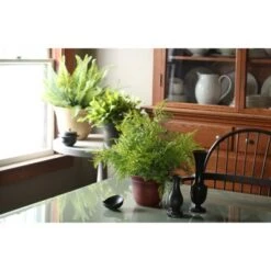 Top 10 😉 Listo HC Companies 13-Inch Width Sierra Planter Round Nordic Bronze Planter (3 Pack) 🤩 -Planters Sales Store unnamed file 5365