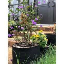 New 🔥 Smart Pot 30 Gallon Portable Fabric Dirt Grow Planter Vegetable Plant Flower Pot Soft Sided Container Bucket, Black ✨ -Planters Sales Store unnamed file 5377