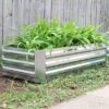Best deal 🥰 Sunnydaze Decor Sunnydaze Raised Corrugated Galvanized Steel Rectangle Garden Bed for Plants, Vegetables, and Flowers - 48" L x 11.75" H - Silver 🔥