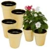 Wholesale ⭐ Juvale 6 Pack Mini Plant Pots for Flower and Succulent Display (Gold, 3.6 In) 🎉 -Planters Sales Store unnamed file 5430