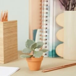 Top 10 π Juvale 10 Pack Terra Cotta Clay Pots, Small Plant Pots, Planters for Succulent & Cactus, 1.9 x 1.9 x 1.5" π