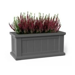 Best deal ๐ 24" x 11" Cape Cod Rectangular Planter Graphite Gray - Mayne ๐