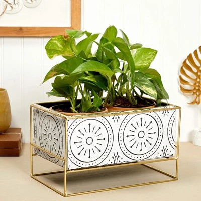 Best Sale 🛒 Farmlyn Creek Rectangle Planter with Stand for Indoor Plants, Succulents, White, 6.5x10.5x6.25 in ✨ 3 Best Sale 🛒 Farmlyn Creek Rectangle Planter with Stand for Indoor Plants, Succulents, White, 6.5x10.5x6.25 in ✨