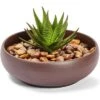 Wholesale 🔔 Juvale Ceramic Bowl Planter Pots with Drainage Hole for Indoors & Outdoors, Dark Brown, 8" x 2.6" ✔️