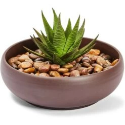 Wholesale π Juvale Ceramic Bowl Planter Pots with Drainage Hole for Indoors & Outdoors, Dark Brown, 8" x 2.6" βοΈ
