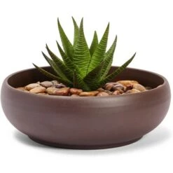 Wholesale 🔔 Juvale Ceramic Bowl Planter Pots with Drainage Hole for Indoors & Outdoors, Dark Brown, 8" x 2.6" ✔️ -Planters Sales Store unnamed file 5553