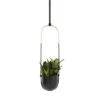 Cheapest ✔️ Bolo Planter Black - Umbra 🥰