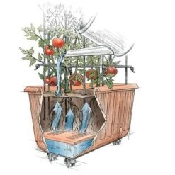 Budget 😍 Plow & Hearth - Self-Watering Rolling Tomato Planter and Rust-Resistant Support Tower ✨
