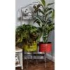 Discount β€οΈ Olivia & May 55" Rustic Iron 4-Tiered Rectangular Garden Rack Gray - Olivia & May β 2 Discount β€οΈ Olivia & May 55" Rustic Iron 4-Tiered Rectangular Garden Rack Gray - Olivia & May β -Planters Sales Store unnamed file 5641