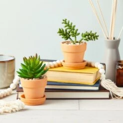 New ⌛ Juvale 12 Pack Small Clay Terracotta Pots with Saucers for Succulents, Flowers (2.7 x 2.5 In) 👍