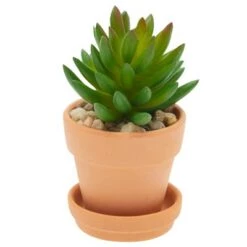 New ⌛ Juvale 12 Pack Small Clay Terracotta Pots with Saucers for Succulents, Flowers (2.7 x 2.5 In) 👍 -Planters Sales Store unnamed file 5649