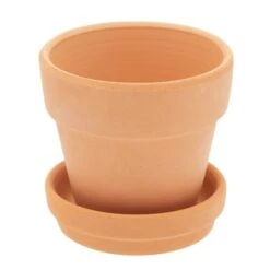 New ⌛ Juvale 12 Pack Small Clay Terracotta Pots with Saucers for Succulents, Flowers (2.7 x 2.5 In) 👍 -Planters Sales Store unnamed file 5653