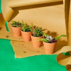 Hot Sale ⭐ Juvale 10 Pack Terra Cotta Clay Pots, Small Plant Pots, Planters for Succulents & Cactus, 2.6 x 2.6 x 2.5" 🧨
