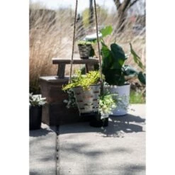 Best deal 💯 Olive Bucket Galvanized Metal and Jute Hanging Planter with Pulley - Foreside Home & Garden 😉 12 Best deal 💯 Olive Bucket Galvanized Metal and Jute Hanging Planter with Pulley - Foreside Home & Garden 😉 -Planters Sales Store unnamed file 5783