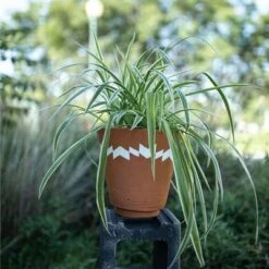 Promo ⭐ Multi Terracotta Planter - Foreside Home & Garden 🔔 -Planters Sales Store unnamed file 5811