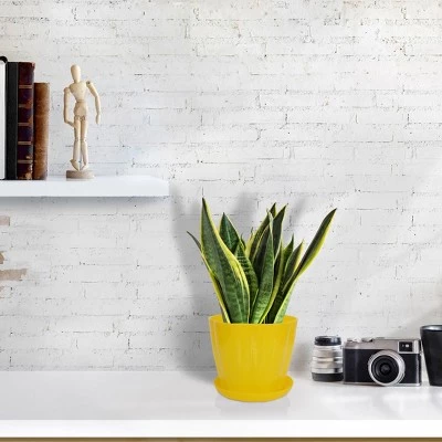 Best reviews of β¨ Unique Bargains Home Garden Plastic Petal Shaped Plant Planter Holder Flower Planters π₯° 5 Best reviews of β¨ Unique Bargains Home Garden Plastic Petal Shaped Plant Planter Holder Flower Planters π₯° - Image 3