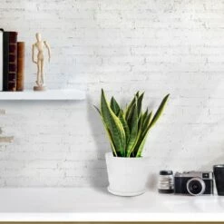 Brand new 👏 Unique Bargains Home Balcony Office Plastic Round Flower Holder Plant Planters White 19cm Dia 1 Pc 🤩 -Planters Sales Store unnamed file 5834