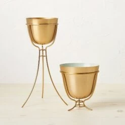Best Sale β¨ Opalhouse Designed With Jungalow Tall Brass Footed Planter - Opalhouse™ designed with Jungalow™ 𧨠7 Best Sale β¨ Opalhouse Designed With Jungalow Tall Brass Footed Planter - Opalhouse™ designed with Jungalow™ 𧨠-Planters Sales Store unnamed file 5838