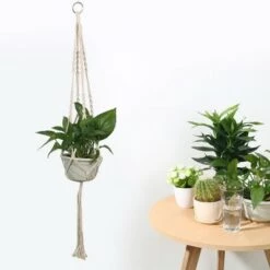 Discount ๐ Unique Bargains Macrame Vintage Handmade Braided Rope Flower Plant Planters Beige 39.4 Inch 2 Pcs ๐ 9 Discount ๐ Unique Bargains Macrame Vintage Handmade Braided Rope Flower Plant Planters Beige 39.4 Inch 2 Pcs ๐ -Planters Sales Store unnamed file 5846